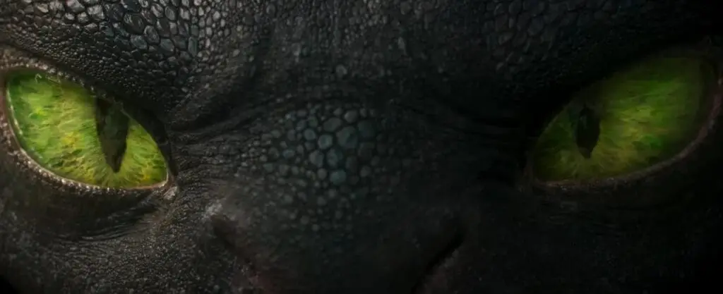 Close up of Toothless aka Night Fury