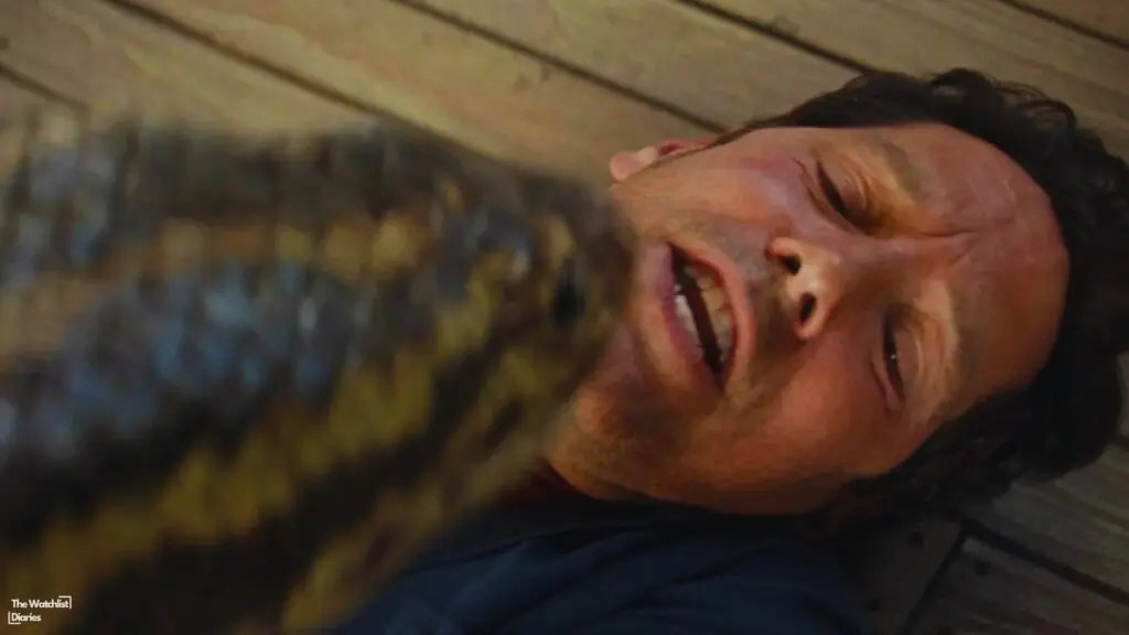 Edited still of Paul Rudd in Anaconda (2025). Image © Columbia Pictures | Fully Formed Entertainment | Sony Pictures Releasing | Netflix